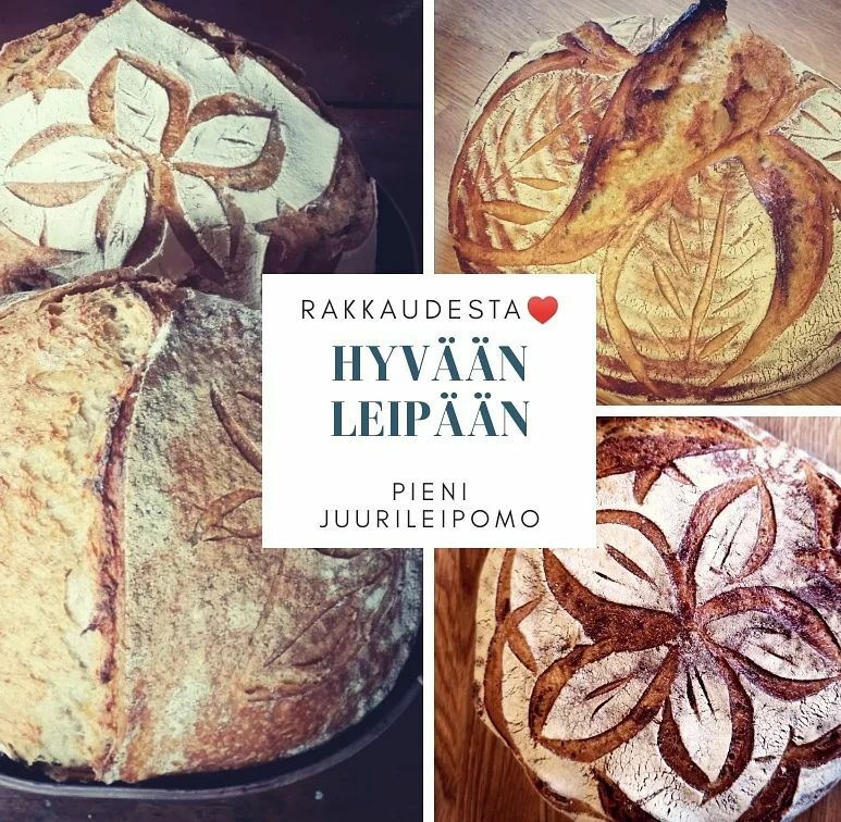 Pieni juurileipomo