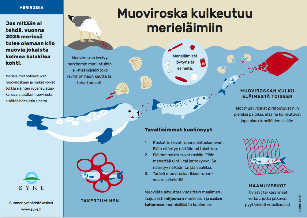 Muoviroska:infokuva