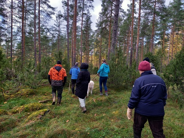 Keskisuomalaista arvokasta metsälaidunta Vähä-Puttolan perinnebiotoopeilla Joutsassa. Kuva Marjaana Hassani